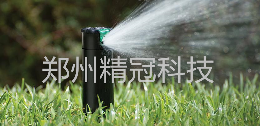 20190429162838_5172.jpg